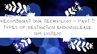 Types of Restriction Modification System