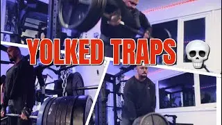 Yolked Traps & Thick Neck | Heavy Shrugs, T-Bar & Neck Harness