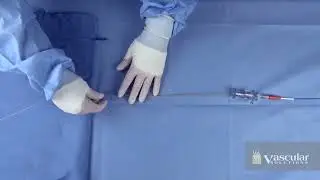 Guide Extension Catheter (Vascular)