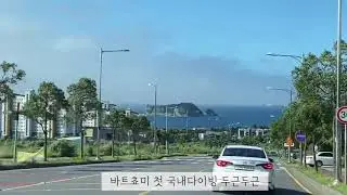 [DIVELOG] 제주 문섬 다이빙
