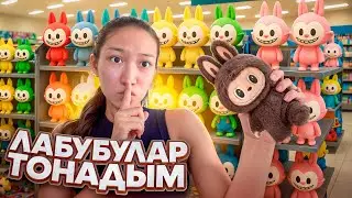 МАГАЗИННЕН ӨТЕ КӨП ЛАБУБУ ТОНАП КЕТТІМ 🤯😱 | ҰСТАП АЛДЫМА?😭