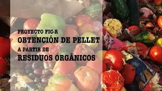 Obtención de Pellet a partir de Residuos Orgánicos - Proyecto experimental Piloto