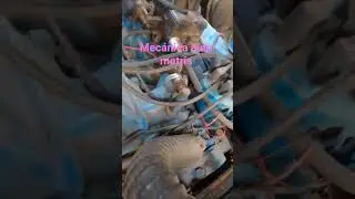 trabajando mec&aacute;nica auto motris