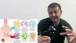 Ичак дисбактериозини жигарга зарари тугрисида батафсил . жигар 3 кисм