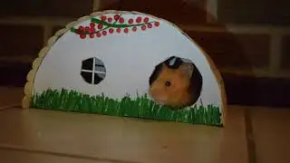 Luna The Hamster and her Fairy House (Inspired by ErinsAnimals)