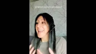 Virtual Support Call- Rabbit too Dizzy to Eat!
