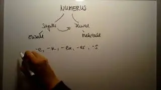 Numerus
