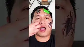 Do you like insects and spiders? 🐞🪳🕷️🕸️