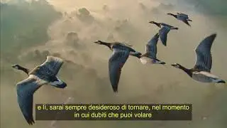 Arta Travel Agency