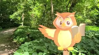 Ologies: Mammalogy