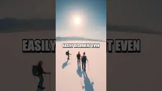 Survival Techniques in Extreme Salt Flats