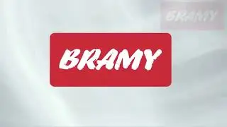 О компании БРАМИ