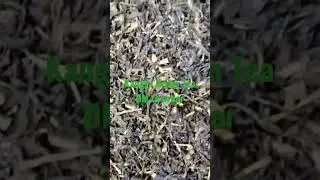 Kangra Green Tea..
