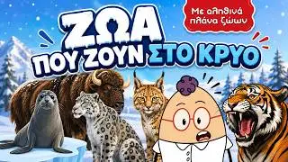 Изучаем животных, которые живут в холоде ❄️ | Образовательное видео | Kanaliegg 🦭🦬