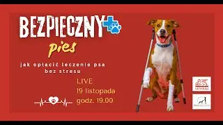 Bezpieczny pies - ubezpieczenie psa w praktyce