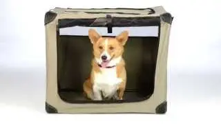 ABO Gear Dog Digs Pet Travel Crate - Medium