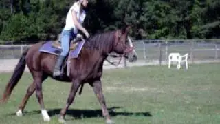 Morgan 2009 clip #3.MOV