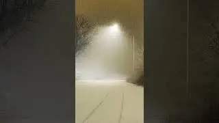 Magical Night Drive: Mesmerizing Snowfall and Enchanting Lights