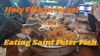 SAINT PETER'S FISH IN THE SEA OF GALILEE 🇮🇱 2025🇮🇱