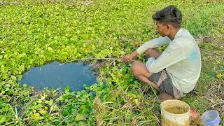 Amazing Hook Fishing 2026 | Village Smart Boy Catch Fish by Hook From Canal With Beautiful Nature