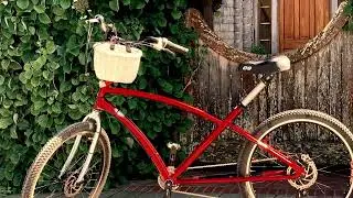 PHOENIX BIKE WRX, Citi Crank Forward Bicycle,
