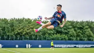 Benjamin Šeško Non-Human Skills & Goals