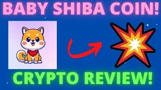 BABY SHIBA COIN UPDATE! $BABYSHIBA LOTS OF TRADING VOLUME! CERTIK AUDIT ONBOARDED!