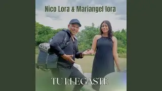 Tu Llegaste