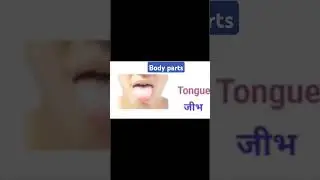 #Bodypartsname#education#english#viralvideo#viralvideo