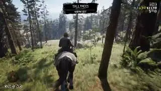 Charged by bear RDR2