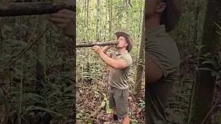El agua secreta del bosque amaz&oacute;nico 🌿💧