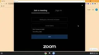 Zoom on Chromebook