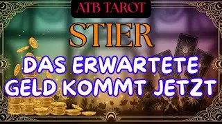 STIER: jemand kommt zurück, bleibt aber nicht ❤️‍🔥