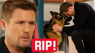 Hudson & Rex Beloved Star Tragically Passed Away