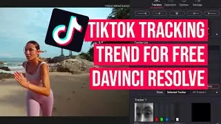 TikTok Face Tracking Effect for FREE DaVinci Resolve
