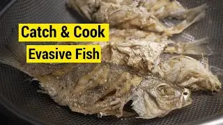EVASIVE Species! | Hmong Cooking | Catch and Cook - OOW Outdoors