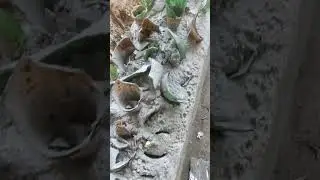wall safety