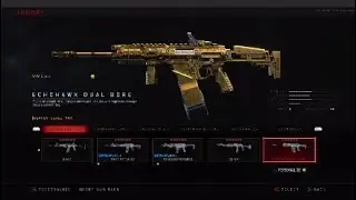 Gold Echohawk, Gold Swat RFT - Black Ops 4 Zombie / Gameplay ( Part 10 )