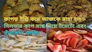 কাপড় ইস্ত্রি করলাম আর রান্না হল সিলভার কাপ মাছ দিয়ে টমেটো এবং বাঁধাকপি ভাজি।