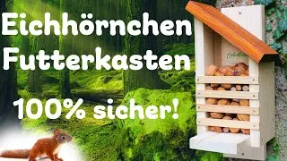 Eichh&ouml;rnchen Futterhaus