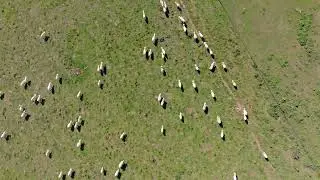 427 Gooda Creek Rd Video