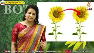 KITE VICTERS Plus two Botany Class 10 (First Bell-ഫസ്റ്റ് ബെല്‍)