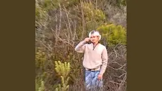 Coming Down with Love