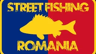 F&H Chanell - Spinning Case Study - Bucharest Streetfishing