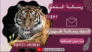 أسباب ظهوره  TIGER  #spiritanimals