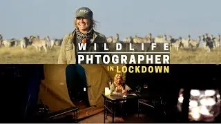 What we did during Covid-19 Lockdown | Ep. 1 Wildlife Photographer in Lockdown | Cape Town