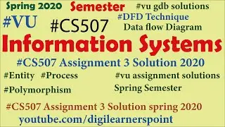 CS507 Assignment solution 2020-Spring Semester-VU-Information Systems