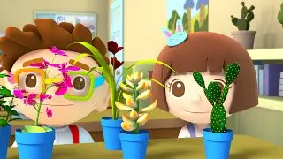 Donut and Ah Meow EP017 陽光的力量