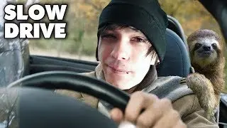SLOTH RACING? - Slowdrive