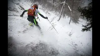 DOMOBIANCA VERTICAL _ SDM NEWS PUNTATA 11 02 2025
